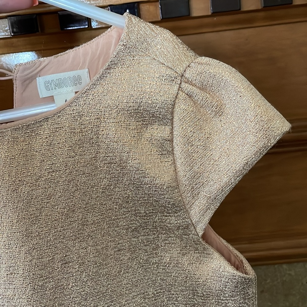 Gymboree dress - Picture 5 of 6
